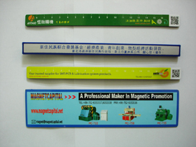 Magnetic Rulers